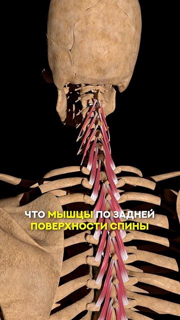 Второй подбородок — откуда берется и как с ним справиться? смотреть онлайн