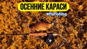 | Ловля карася нахлыстом на вату |