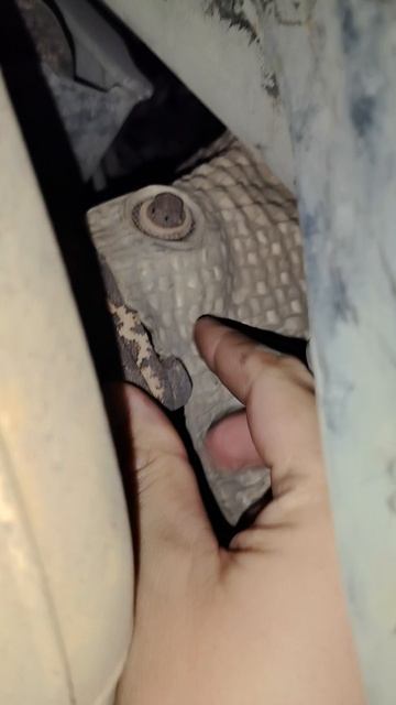 Epica: как убрать дребезг защиты