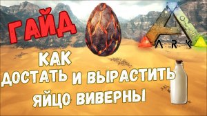 КАК ВЫРАСТИТЬ ВИВЕРНУ в ARK Survival Evolved | ПОЛНЫЙ #ГАЙД
