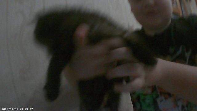 VID00009 смотреть онлайн