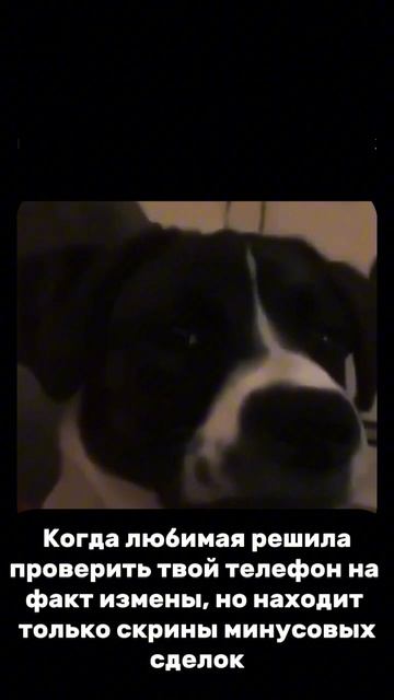 Искала измену — нашла убыточные сделки 📉😂