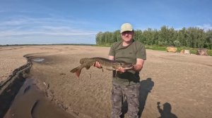 Рыбалка на Севере Томской области. Конец июля 2025. 2-я Часть.