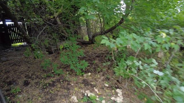 ОБЗОР ДОМА, 30 ЛЕТ СТОЯЛ ЖДАЛ МЕНЯ смотреть онлайн