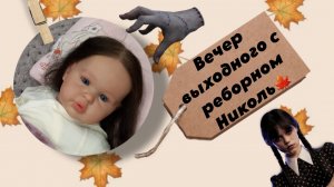 Вечер выходного дня с реборном Николь🍁