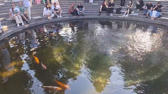 Прогулка по парку Галицкого. Краснодар. смотреть онлайн