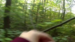 Убираю кусты на даче/нашли озеро