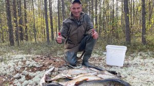 С ЭТОЙ РЕКИ БЕЗ РЫБЫ НЕ УЕДЕШЬ.ЕТЫПУР.РЫБАЛКА НА СПИННИНГ.