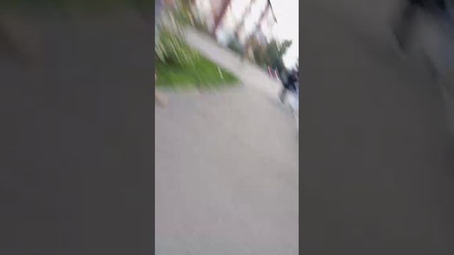 как мы идём домой из школы