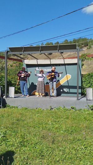 Песня о хирургах