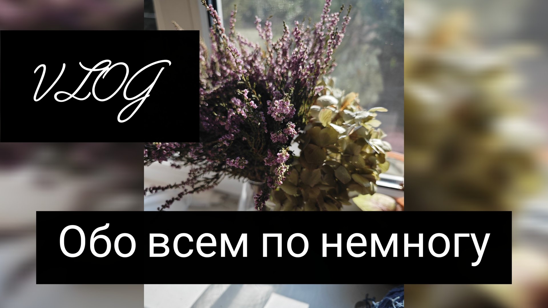 vlog обо всем по немногу смотреть онлайн