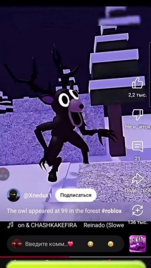 The owl appeared at 99 night in forest