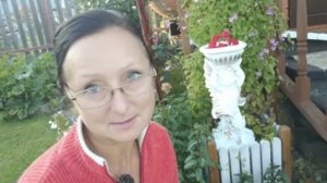 Видео привет с 6 соток 13 сентября 2025 года