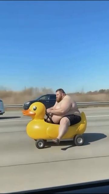 Утёночек... бл... #мужик #утенок #утеночек #авто #мото #дорога #машина #толстый #пухлый #трасса смотреть онлайн