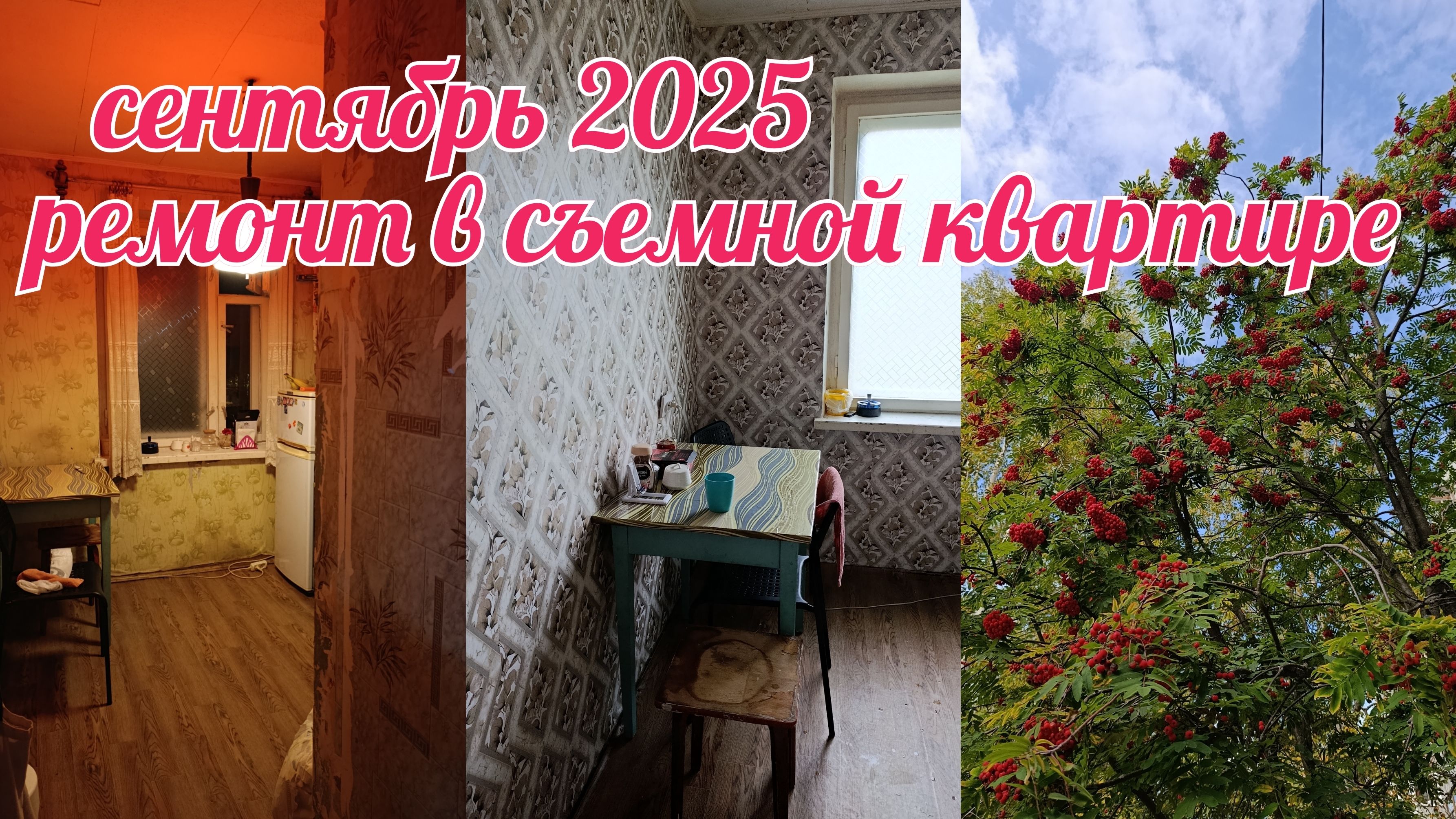 Осенний влог// ремонт на съемной квартире