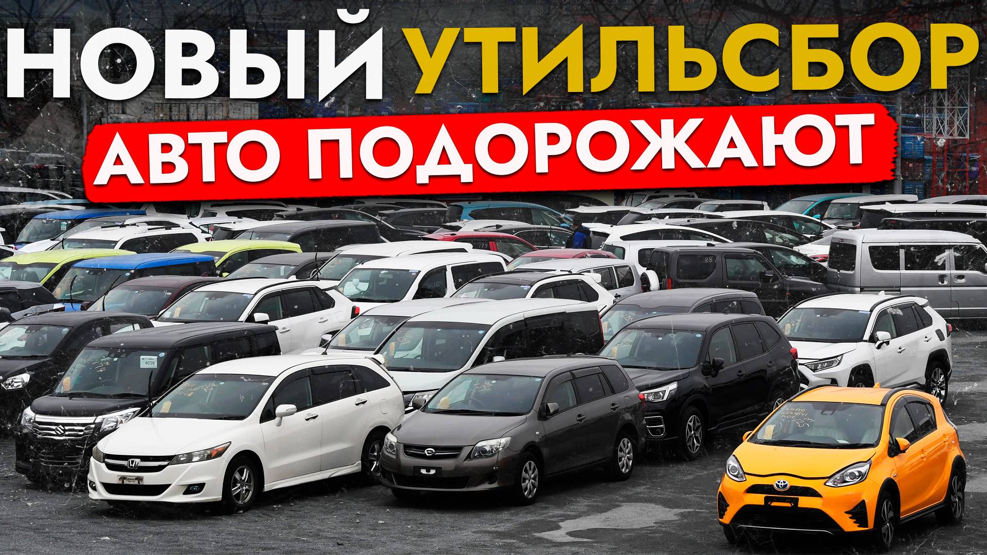 СРОЧНО: ПОВЫШЕНИЕ УТИЛЬСБОРА ДЛЯ ВСЕХ❗ ПЛЮС 3 000 000 К ЦЕНЕ АВТО❓ НОВЫЕ СТАВКИ С 1 НОЯБРЯ 2025 смотреть онлайн