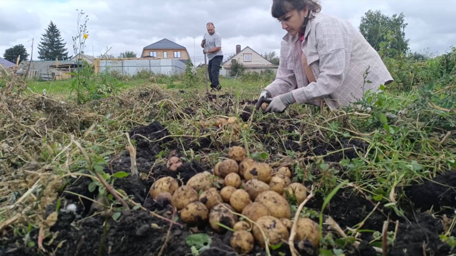 МУЖ ПРОТИВ,СПОРЫ В СЕМЬЕ/РОДИТЕЛИ НИЧЕГО НЕ ЗНАЮТ/УРОЖАЙ В ДЕРЕВНЕ смотреть онлайн