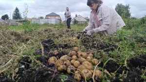 МУЖ  ПРОТИВ,СПОРЫ В СЕМЬЕ/РОДИТЕЛИ НИЧЕГО НЕ ЗНАЮТ/УРОЖАЙ В ДЕРЕВНЕ