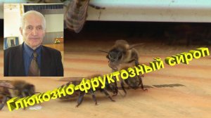 Глюкозно-фруктозный сироп: Секрет эффективной подкормки от мэтра пчеловодства