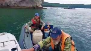 Воблер 80 мм (13 гр) №18 от Mr. Musurok в деле 🎣 Сезон 2023 г