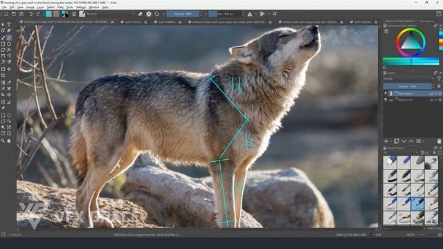 06 Pre-Preparation - Reference Analysis 01 смотреть онлайн