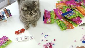 ЗВЕРЯТЫШИ МАГНИТ КОЛЛЕКЦИЯ АКЦИИ!