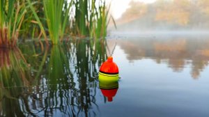 ПОПЛАВОЧНАЯ РЫБАЛКА НА ЩУКУ