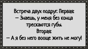 Как две доярки с конем развлекались! Сборник свежих анекдотов! Юмор