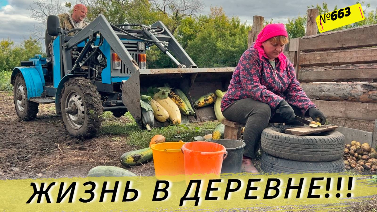 Один день из жизни Омской деревни. Наши будни. смотреть онлайн