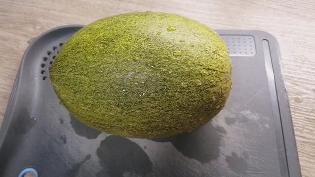 Дегустация Дыни с нашей дачи.