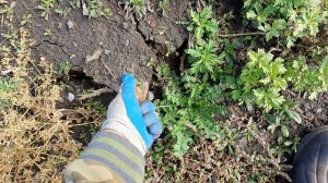 2 часть. На поиски металла,в тоже самое место, где раньше была деревня.