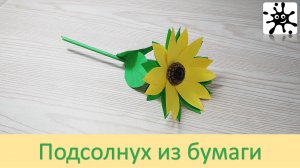 Подсолнух из бумаги. Подсолнух своими руками