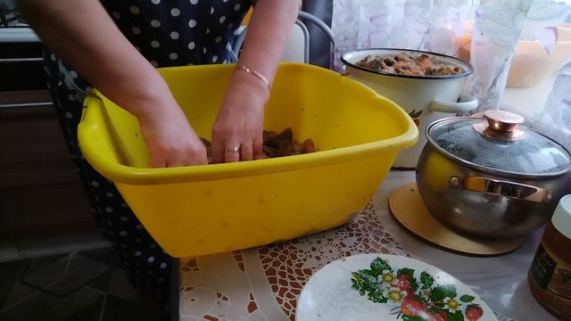 Занимаюсь грибами 🍄🍄🍄 смотреть онлайн