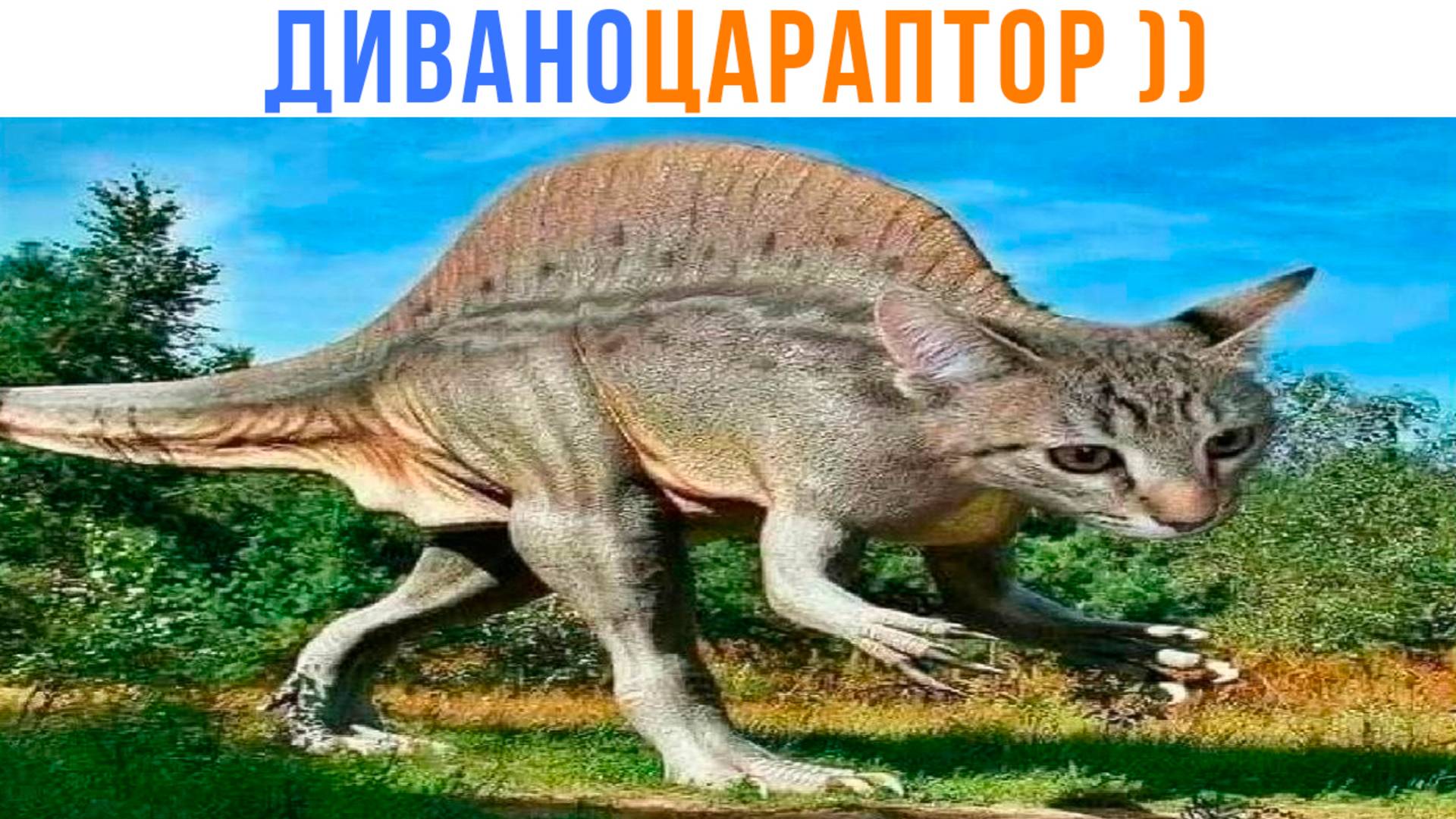 ДИВАНОЦАРАПТОР ))) Приколы с котами | Мемозг 1665 смотреть онлайн