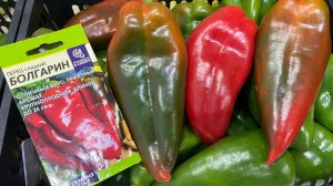 Урожайный перец Болгарин.