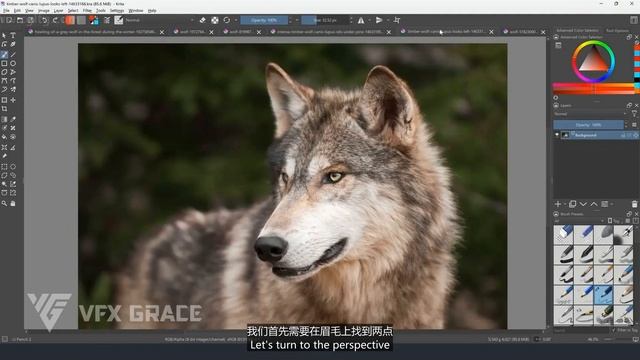 07 Pre-Preparation - Reference Analysis 02 смотреть онлайн