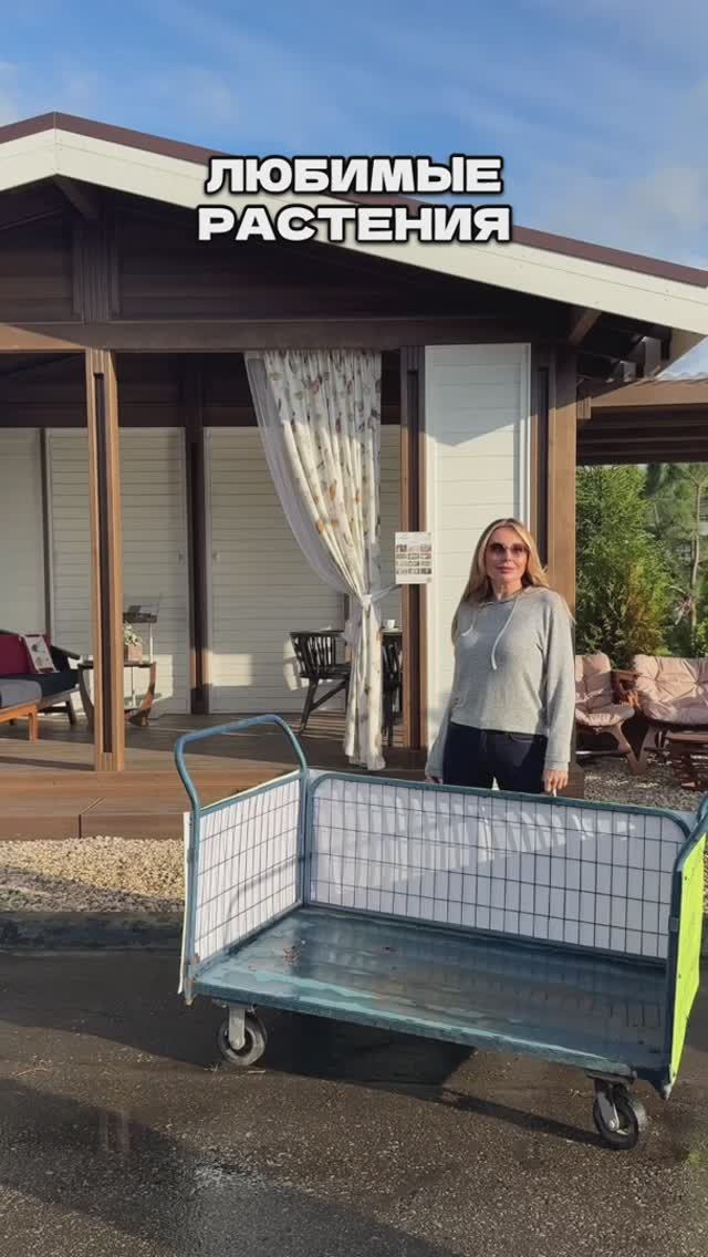 НАТАЛЬЯ БОЧКАРЕВА: эти растения счастливы вместе🌲☺️ смотреть онлайн