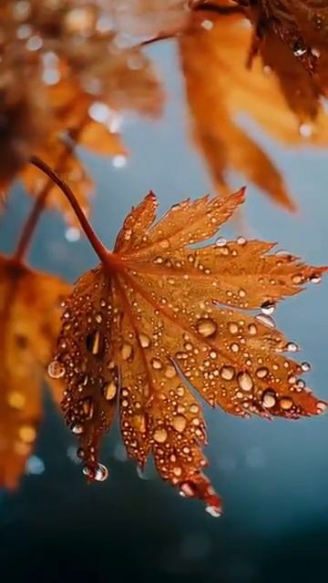 Я покинул родимый дом смотреть онлайн