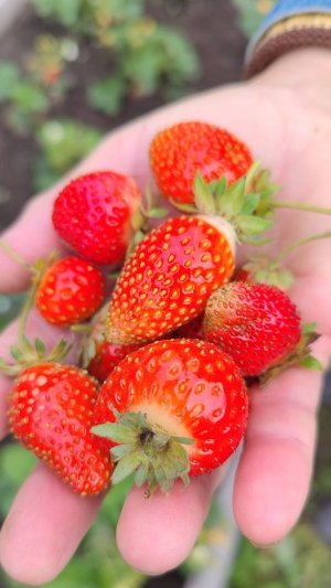 Как же теперь хорошо без усов!