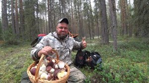 БЕЗ ВАЛИДОЛА НЕ СМОТРЕТЬ, ПОПАЛ НА В СХОД БОРОВИКОВ! СЕМЬИ ПО 10 ШТУК, КАК В СКАЗКЕ \ СБОР ГРИБОВ.