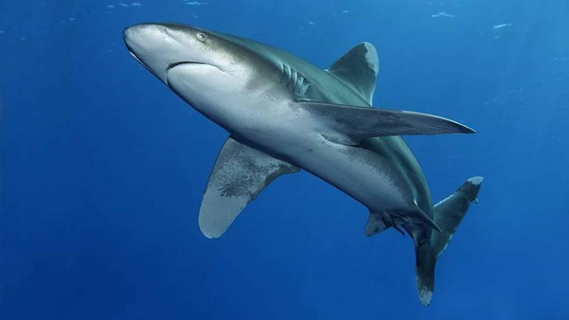 Минута по делу