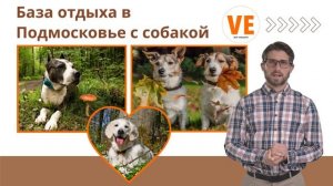 База отдыха в Подмосковье с собакой