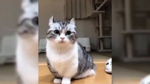 Бананчики🍌