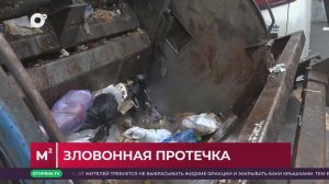 Квадратные метры / Борьба с утечкой отходов / 16.09.25