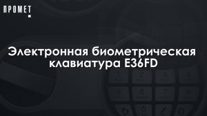 Электронная биометрическая клавиатура Е36FD
