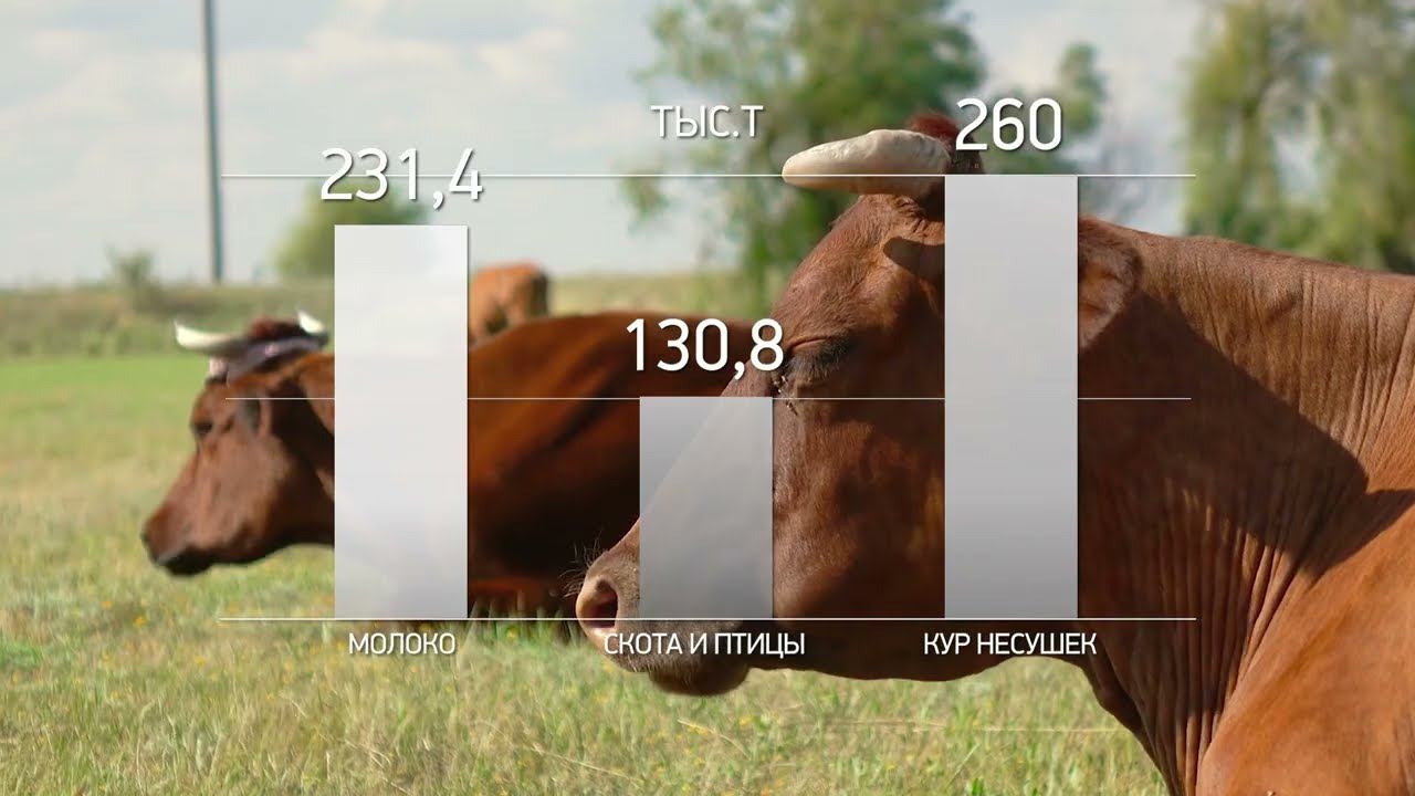 Результаты поддержки сельхозпроизводителей калининградской области по итогам 2022 года