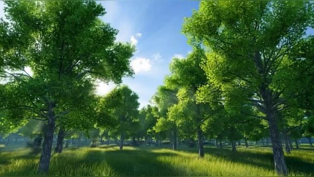 Окно смотреть онлайн