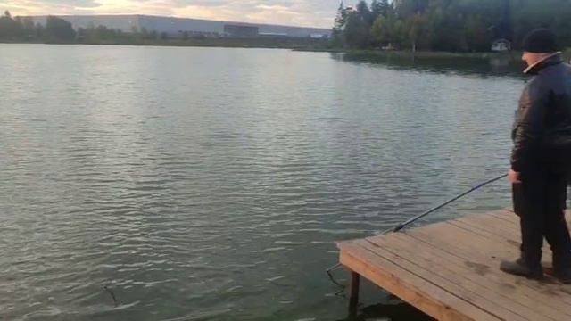 WhatsApp Video 2025-09-16 at 06.43.33 смотреть онлайн