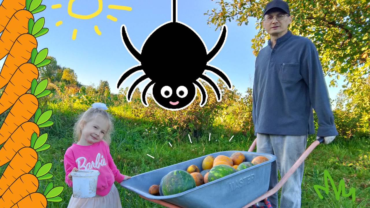 Гигантский ПАУК в Чебоксарах! Арбузы и дыни с огорода.