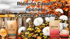 Roberto Cavalli против осенней хандры. История про мой «якорек».